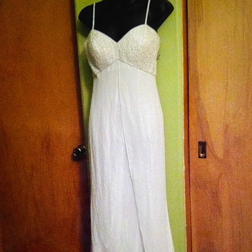 Wedding or Destination dress